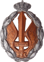 Знак Assault gold badge