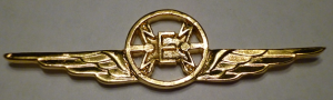 Знак Aviation electrician specialist badge