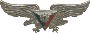 Нагрудный знак Пилот 