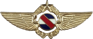 Badge Senior pilot (mini) 