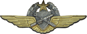 Badge Pilot observer 