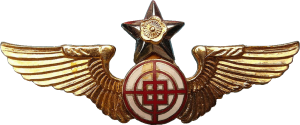 Badge Air gunner 