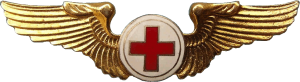 Badge Flight Nurse 