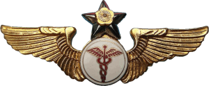 Badge Flight surgeon 