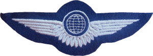 Badge Air crewman 