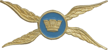 Знак Helicopter pilot