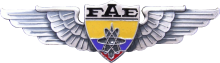 Знак Electronics Engineer(enlisted)