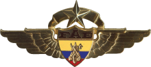Знак Master of Air Force Finance Department