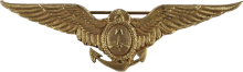 Знак Auxiliary Aviator