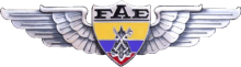 Знак Specialist of Air Force Finance Department (enlisted)