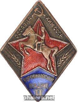 Знак Ворошиловский всадник II ступени Осоавиахима