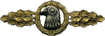 Badge Reconnaissance, Air-Sea Rescue and  Meteorological Squadron Clasp 