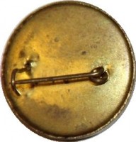 Нагрудный знак 29 годовщина Октября. 1917-1946 