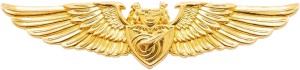 Нагрудный знак Управление вооружениями 