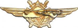 Нагрудный знак Летчик 1 класса 