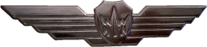 Badge Electronic Warfare Operator 