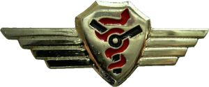 Badge Surgion 