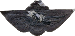 Нагрудный знак Штурман 