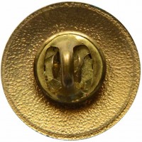 Нагрудный знак 65 лет ГИБДД ОРУД ГАИ 