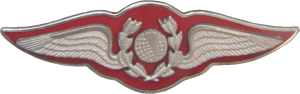 Нагрудный знак Штурман 