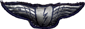 Badge Radioman 