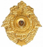 Нагрудный знак Воздушно-десантные войска 