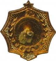 Нагрудный знак Первенство Ленинграда. Гимнастика, перекладина. 3 место 