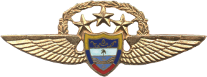 Нагрудный знак Пилот 