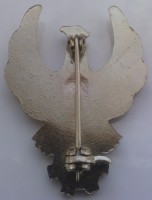 Badge Technician 2nd class 