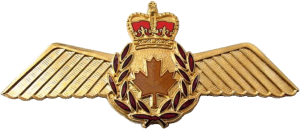 Нагрудный знак Пилот 