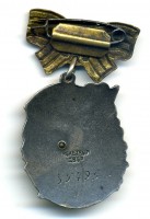 Нагрудный знак Материнская слава 1 степени 