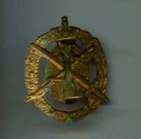Нагрудный знак Медицинская служба 