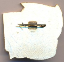 Нагрудный знак ВВМГУ  