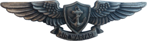 Нагрудный знак Специалист радиоэлектронной борьбы 