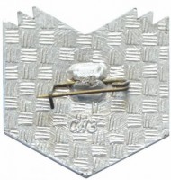 Нагрудный знак МЭИ 