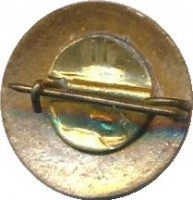 Нагрудный знак Москва  