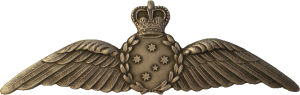 Badge Air Combat Officer 