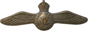 Нагрудный знак Пилот 
