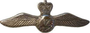 Нагрудный знак Пилот 