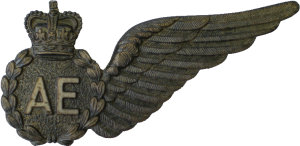 Badge Air Electronics Analyst 