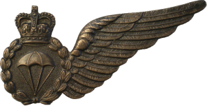 Badge Parachute Jump Instructor 