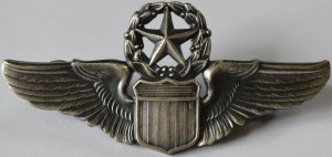 Нагрудный знак Мастер пилот 