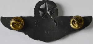 Нагрудный знак Мастер пилот 