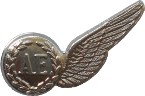 Нагрудный знак Оператор электронных систем 