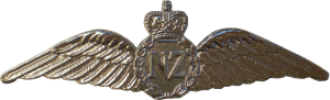 Нагрудный знак Пилот 
