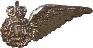Нагрудный знак Оператор РЭБ 