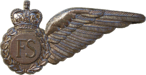 Badge Flight Steward 