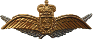 Badge Pilot 