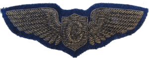Нагрудный знак Пилот планера 