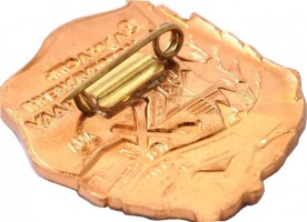 Badge  